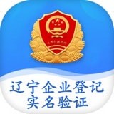 辽宁工商全程电子化平台安卓版下载(辽宁工商全程电子化平台app下载)