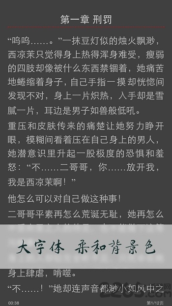 小说连载阅读器软件 v12 安卓免费版 0