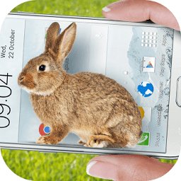 手机上的小兔子app下载(手机上的小兔子软件下载)