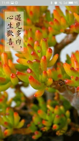 多肉联萌手机客户端 v3.0 安卓版 3