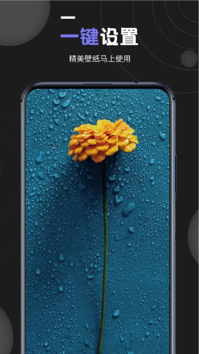 我的壁纸app v1.2 安卓版 0