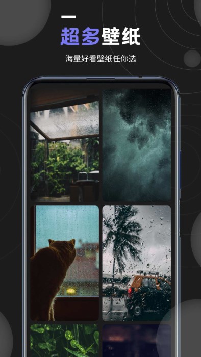 我的壁纸app v1.2 安卓版 2