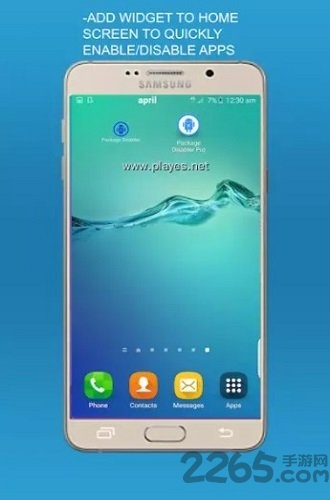 package disabler pro最新版下载