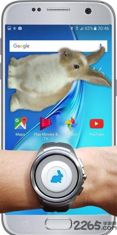 手机上的小兔子app v1.1 安卓版 3