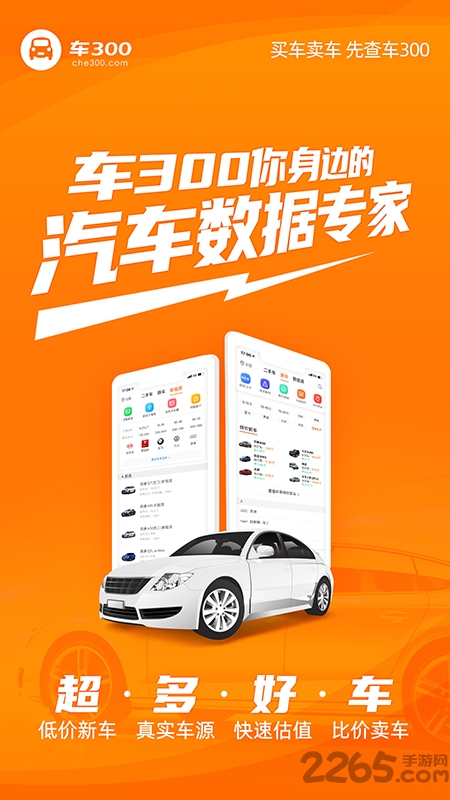 车300二手车官方版 v5.1.6.01 安卓版 1