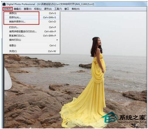 CR2文件怎么打开？Win7 CR2文件打开方法