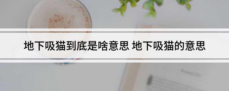 地下吸猫到底是啥意思(地下吸猫的意思)