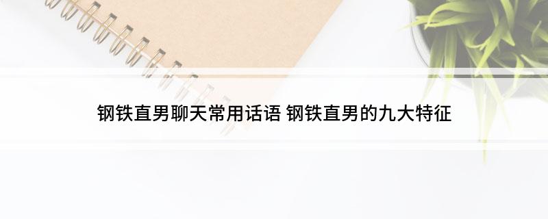 钢铁直男聊天常用话语