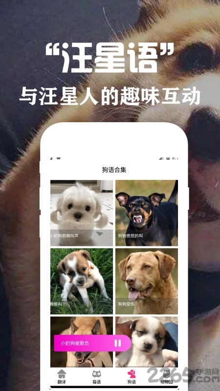 狗语翻译交流器app v2.8 安卓版 1