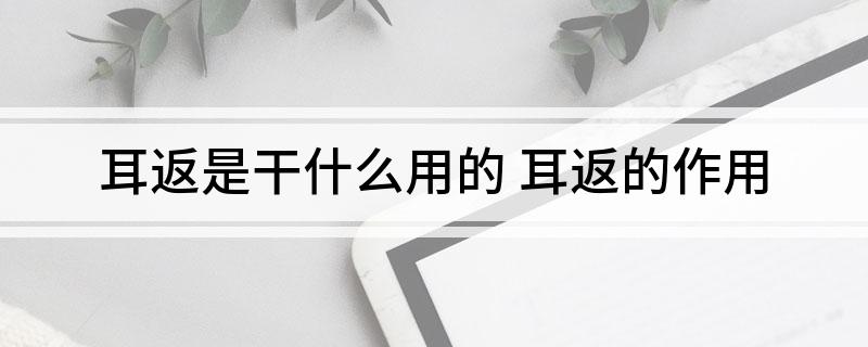 耳返是干什么用的(耳返的作用)