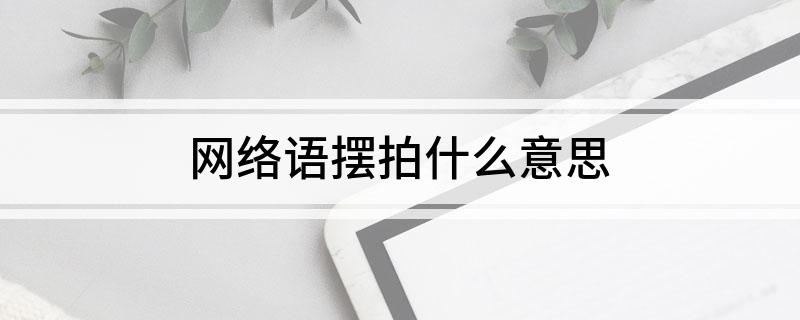 网络语摆拍什么意思
