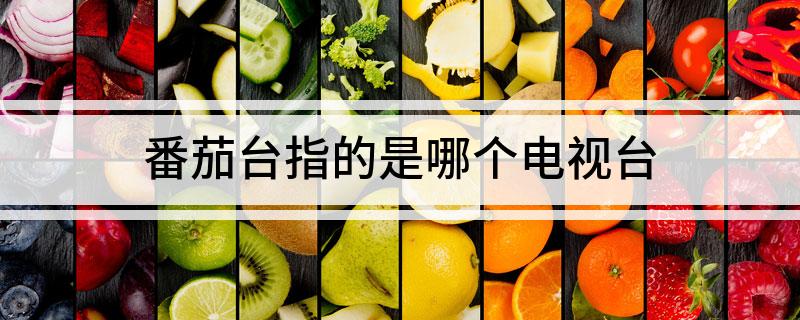 番茄台指的是哪个电视台