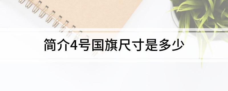 简介4号国旗尺寸是多少