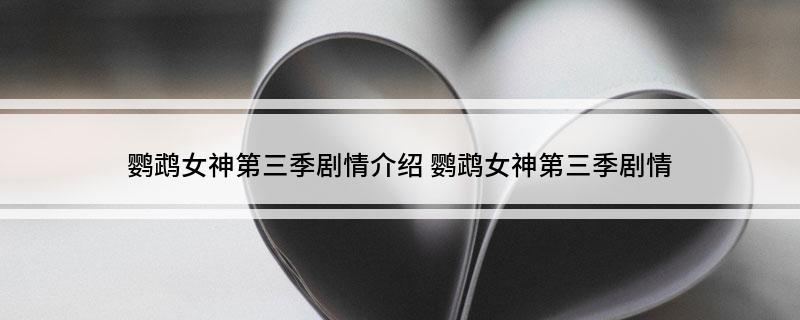 鹦鹉女神第三季剧情介绍(鹦鹉女神第三季剧情)