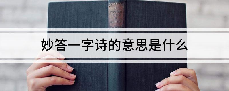 妙答一字诗的意思是什么