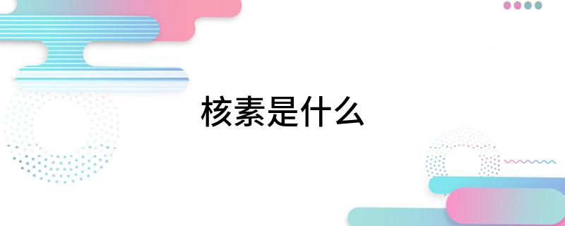 核素是什么