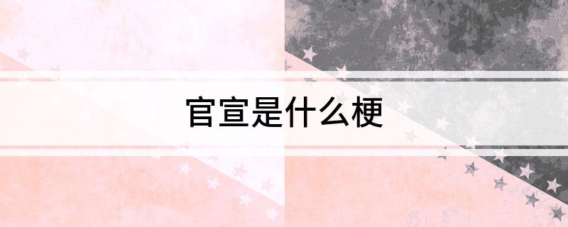 官宣是什么梗