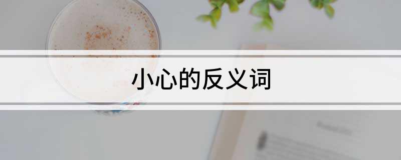 小心的反义词