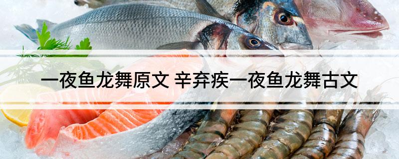 一夜鱼龙舞原文(辛弃疾一夜鱼龙舞古文)
