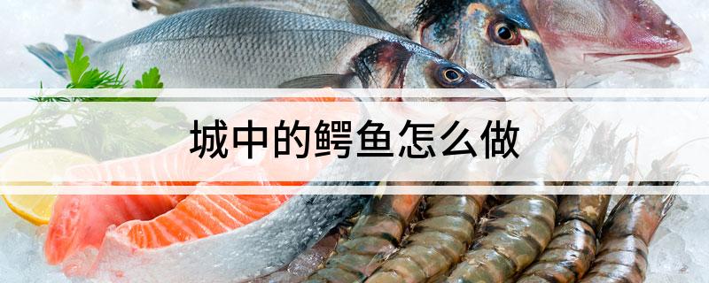 城中的鳄鱼怎么做