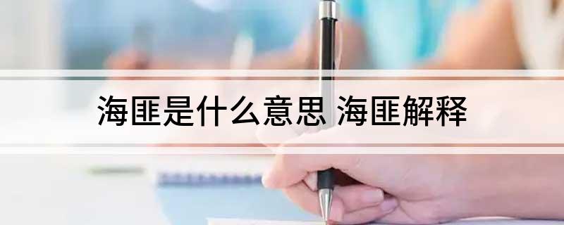 海匪是什么意思(海匪解释)
