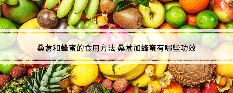 桑葚和蜂蜜的食用方法(桑葚加蜂蜜有哪些功效)