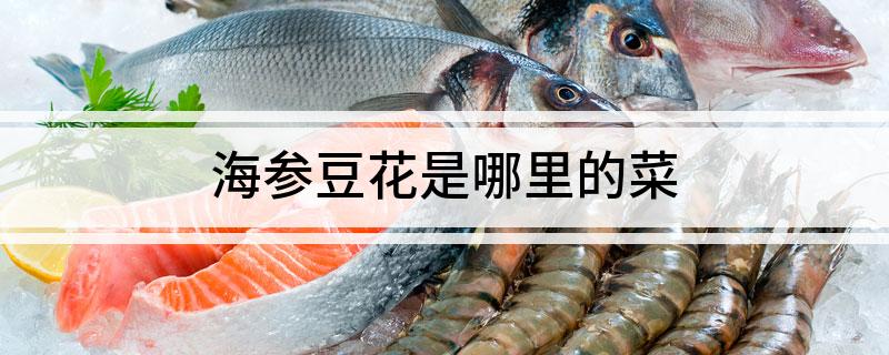 海参豆花是哪里的菜