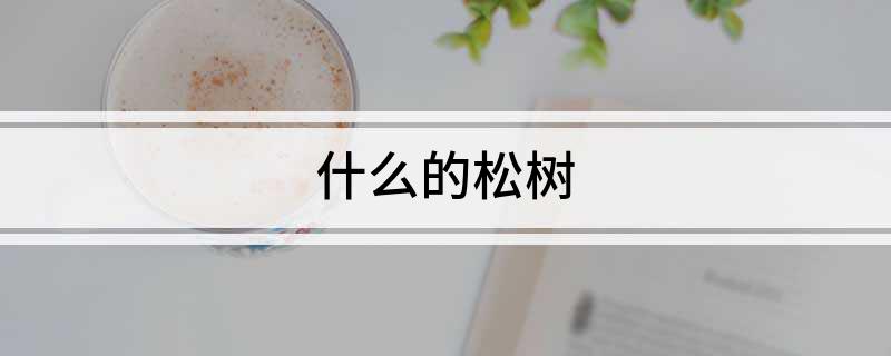 什么的松树