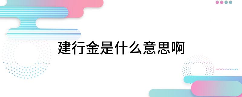 建行金是什么意思啊