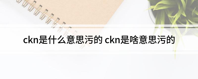ckn是什么意思污的(ckn是啥意思污的)