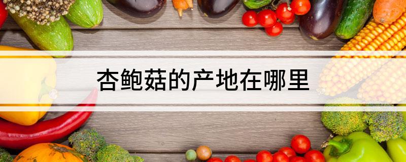 杏鲍菇的产地在哪里