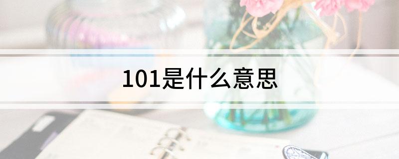 101是什么意思