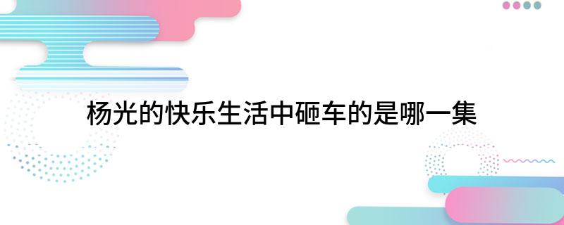 杨光的快乐生活中砸车的是哪一集