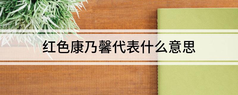 红色康乃馨代表什么意思