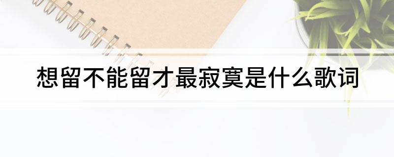 想留不能留才最寂寞是什么歌词