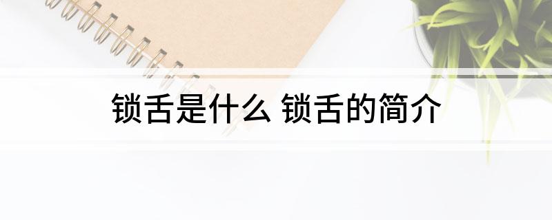 锁舌是什么