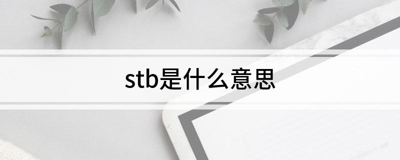 stb是什么意思