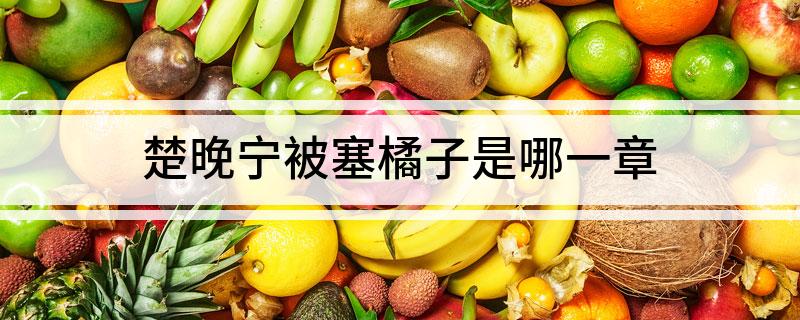 楚晚宁被塞橘子是哪一章