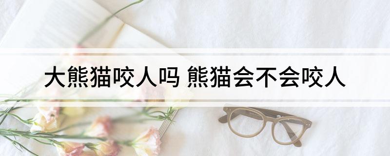 大熊猫咬人吗(熊猫会不会咬人)