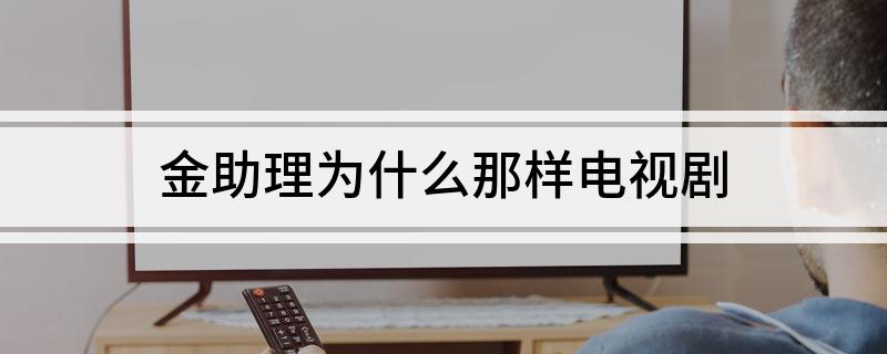 金助理为什么那样电视剧