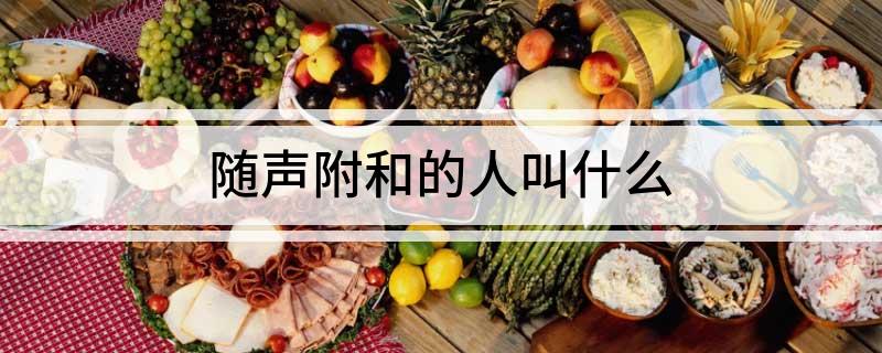 随声附和的人叫什么