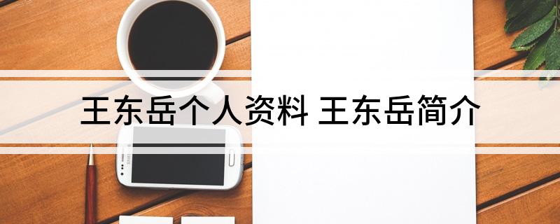 王东岳个人资料(王东岳简介)