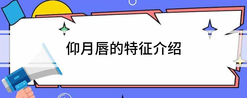 仰月唇的特征介绍