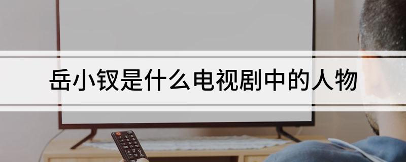 岳小钗是什么电视剧中的人物