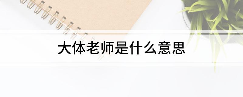 大体老师是什么意思