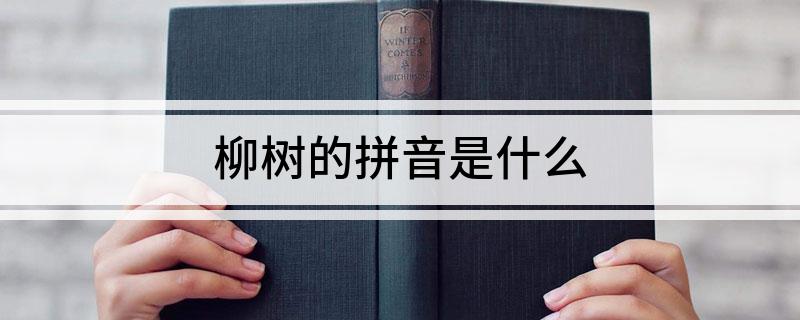 柳树的拼音是什么