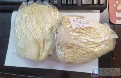 金针菇明天见什么意思