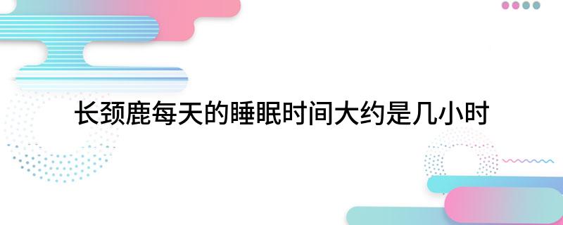 长颈鹿每天的睡眠时间大约是几小时