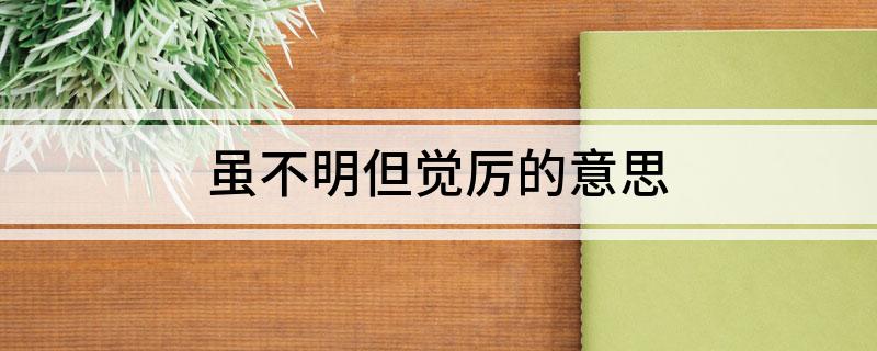 虽不明但觉厉的意思