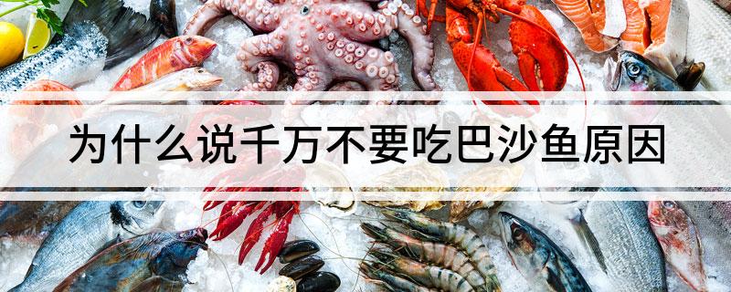 为什么说千万不要吃巴沙鱼原因